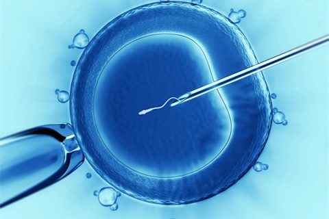 http://dalian.vdtfzz.com/post/198.html|大连代生助孕