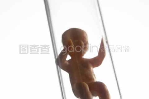 http://dalian.vdtfzz.com/post/197.html|大连试管助孕