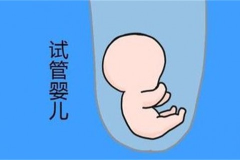 http://dalian.vdtfzz.com/post/194.html|大连新闻中心