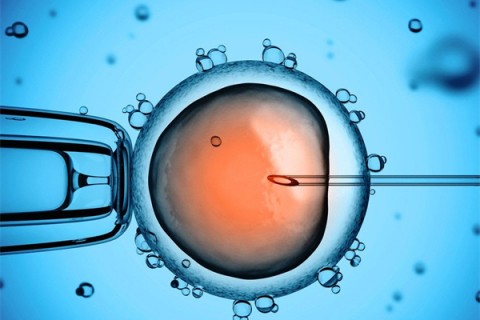 http://dalian.vdtfzz.com/post/206.html|大连新闻中心